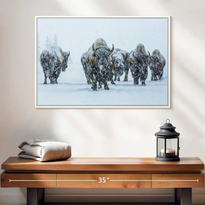 Bisons dans le parc national de Yellowstone, Cadre flottant blanc, 25 po x 17 po