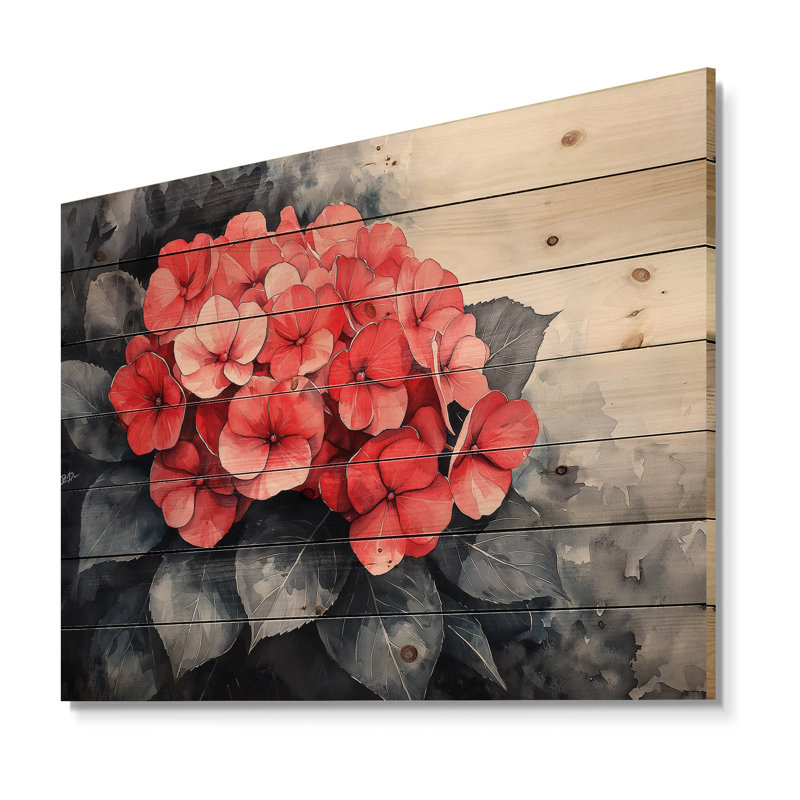 Monochrome Hydrangeas With Bold Red Accent II - Hydrangea Wood Print - On Natural Pine Wood, 24" H x 32" W