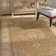 Bedner Oriental Indoor Rug