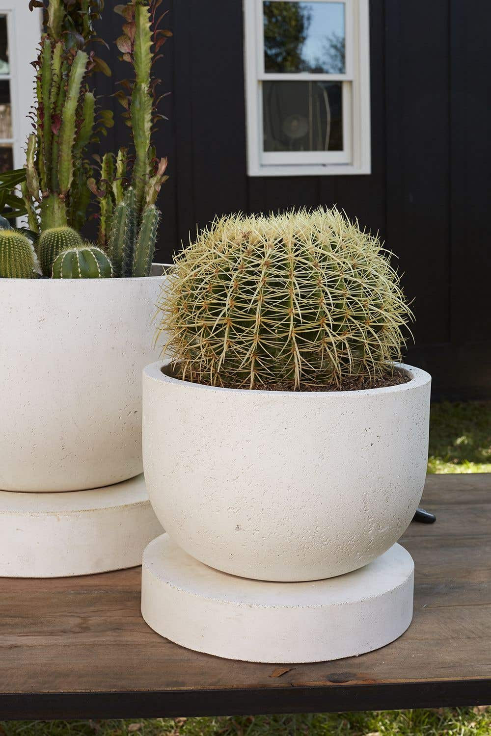 Icarus Ceramic Pot Planter, 11" H x 12" W x 12" D