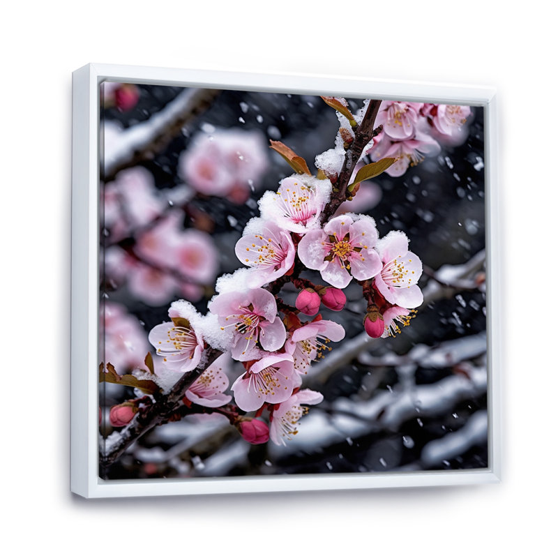 Fleur de cerisier en hiver I, H 24 po x l 24 po x P 1 po, Cadre flottant blanc
