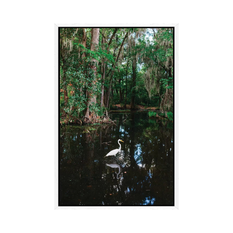 Charleston's Magnolia Plantation VI by Bethany Young - Print on Canvas, White Framed, 66.04cm H x 45.72cm W x 3.81cm D