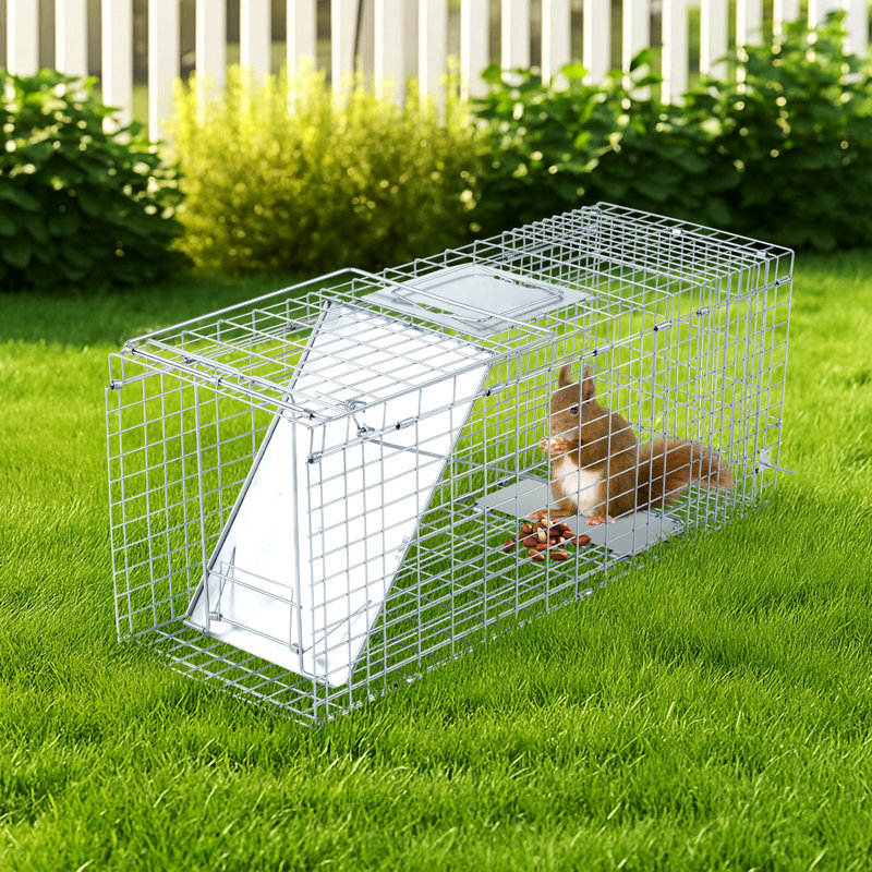 Cage à animaux 32 "pliable argentée avec déflecteur frontal, Argent argent