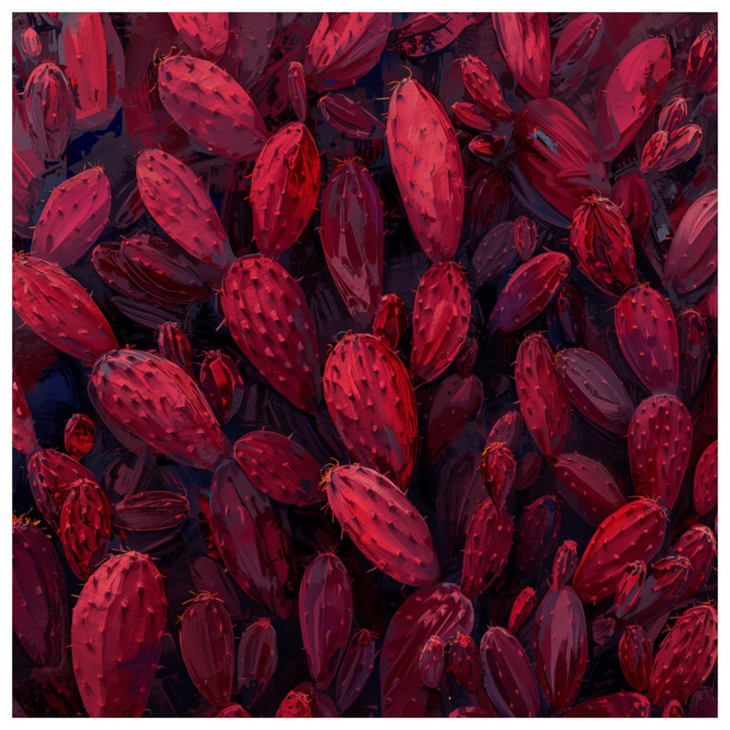 Tapis de bain Red Cactus, L 34 po x L 21 po