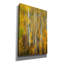 «Aspenglow Vi» par Rick Berk, art mural sur toile-1708069899
