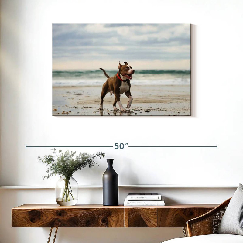 Brampt Pit Bull sur la plage, H 24 po x l 36 po