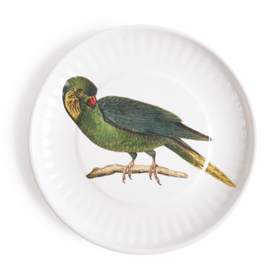 PARROT LG. PAPER PLATES SET OF 4