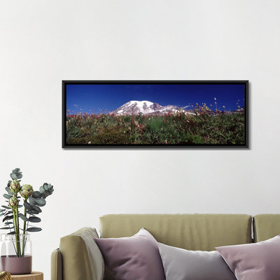 " Wildflowers On Mountains, Mt Rainier, Pierce County, Washington State, USA " by Panoramic Images