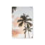 Impression sur toile Tropical Twilight-1261811219-1261811215