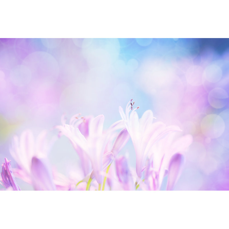 Abstract Floral by Dlinca - No Frame Print on Canvas, 81cm H x 122cm W
