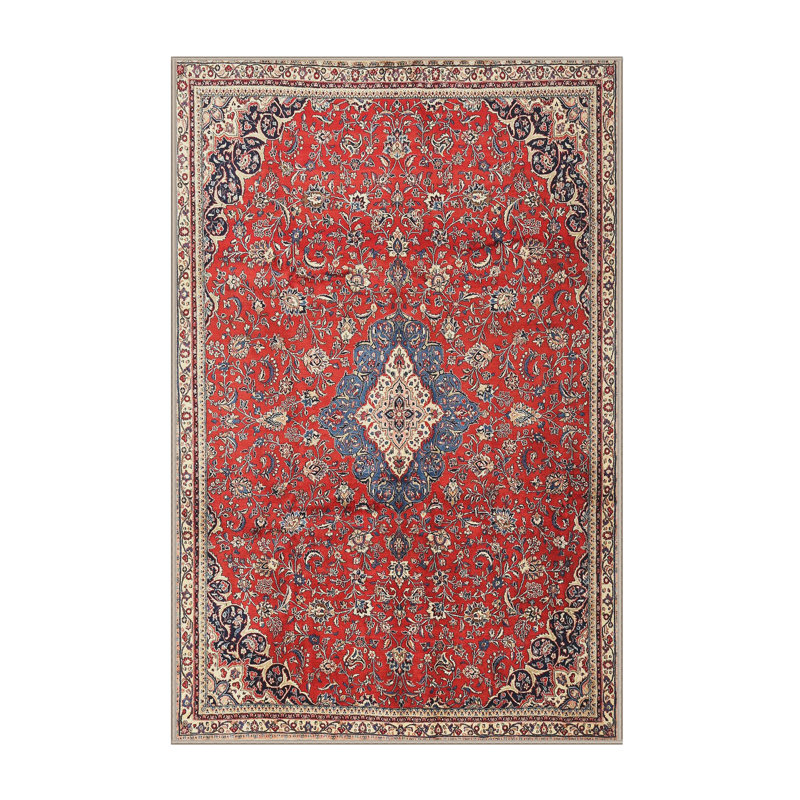 Sufyaan Oriental Indoor Rug, Rectangle 4' x 6'