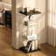 Display Cabinet-13562167