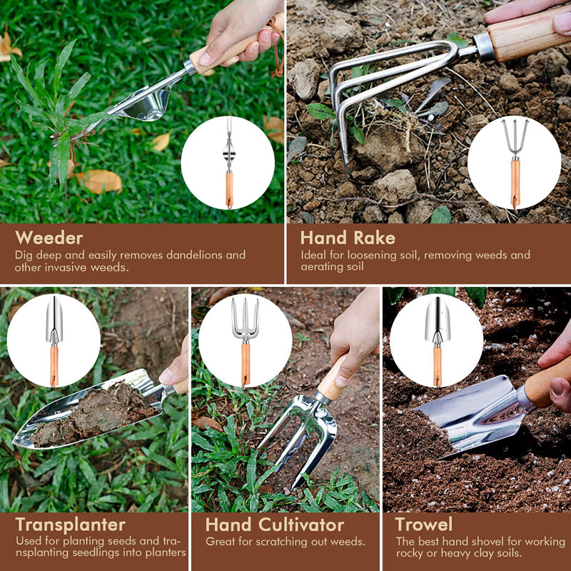 Ensemble d'outils de jardin en acier inoxydable