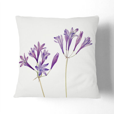 Square Cushion