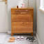 Rangement pour chaussures en bois massif Burlywood