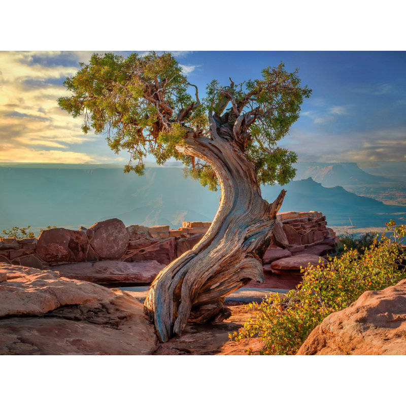 Deadhorse Point Print by Beth Sheridan, 25.2" H x 31.2" W, Black Framed Paper