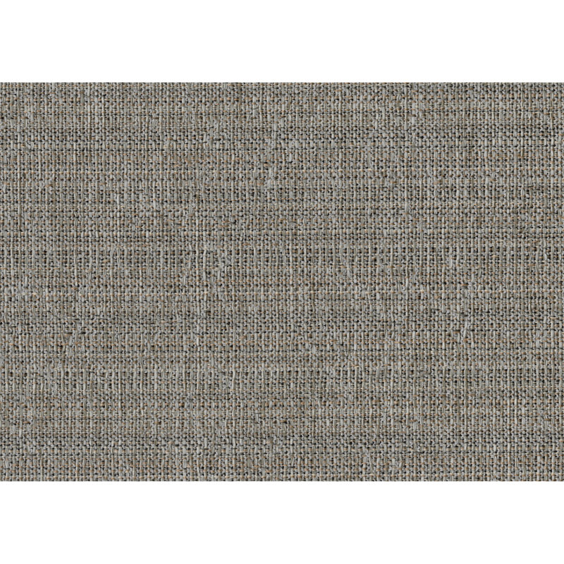 Ensemble de chaises d'appoint de style traditionnel 2 pièces