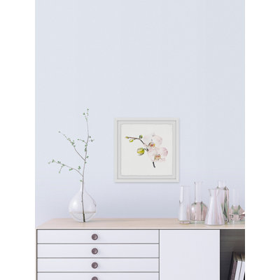 « orchidée », impression encadrée