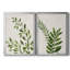 «Botanical Wash I», ensemble de 2 reproductions d'art sur toiles-455244307-455244299-455244315
