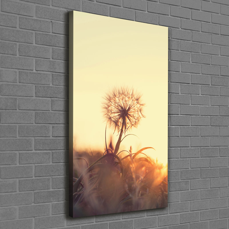 Dandelion - Wrapped Canvas Print
