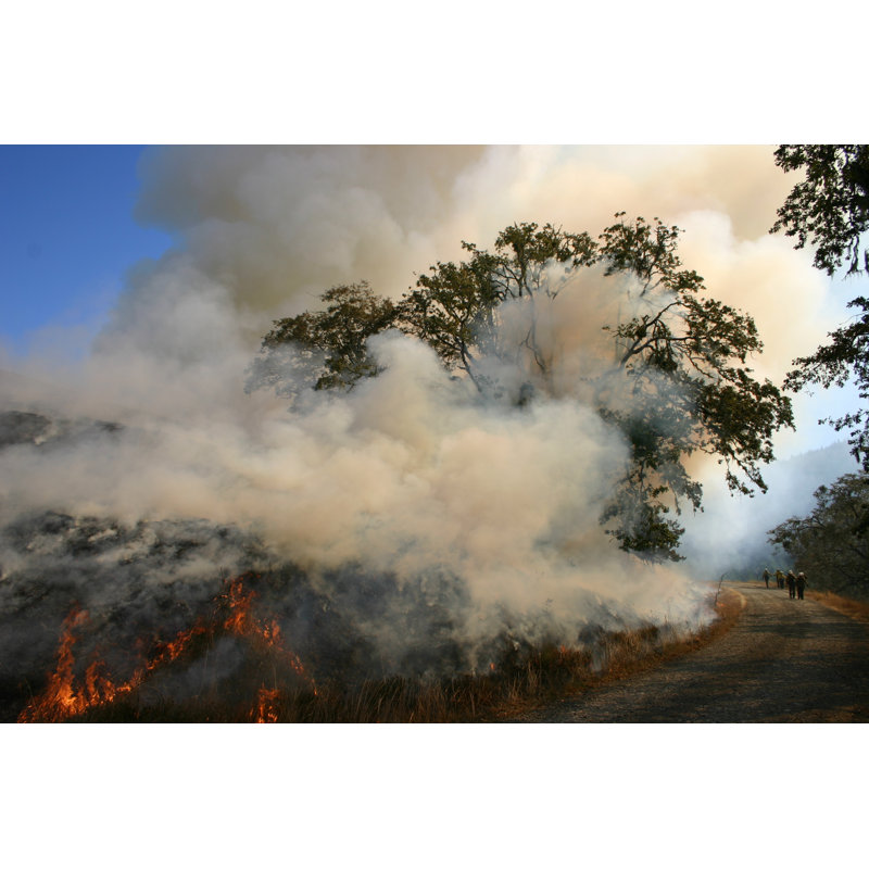Fire On The Mountain by Escaflowne - No Frame Art Prints on Canvas, 51cm H x 76cm W
