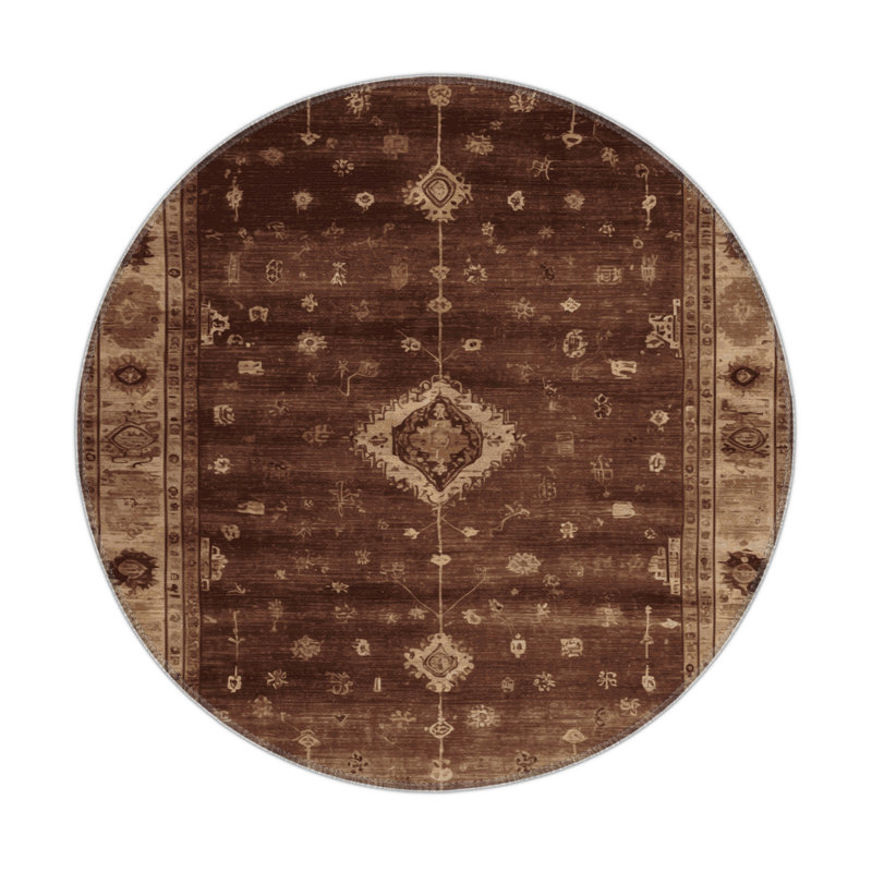 Tapis intérieur et extérieur brun Overdyed, Rond 5 pi