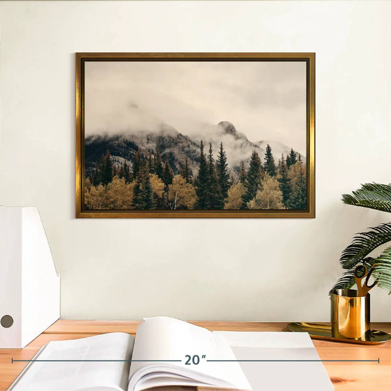 Foggy Banff National Park, Cadre flottant doré, 13 po x 9 po