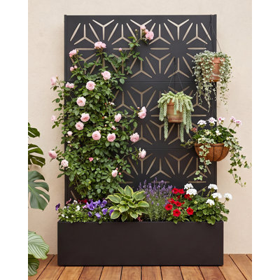 Boîte à fleurs en métal avec treillis, H 71 po x l 44 po x P 16 po, lit de jardin surélevé pour l'extérieur avec écran d'intimité et trous de drainage, pot à fleurs toutes saisons pour plantes grimpantes, légumes, vignes, étoile hexagonale