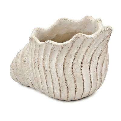 11.5x7x7 Inches Sand And Cement Shell Planter For Rustic Home Decor With Herbs Trailing Plants