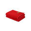 Ensemble de 2 serviettes de bain 100% coton-947905154