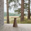 Leon Counter Table - Alpine Weatherwood Top-1036298646