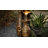 43.8'' H Peacock Outdoor Water Fountain with LED Lights, Resin Tiered Garden Fountain with Adjustable Flow