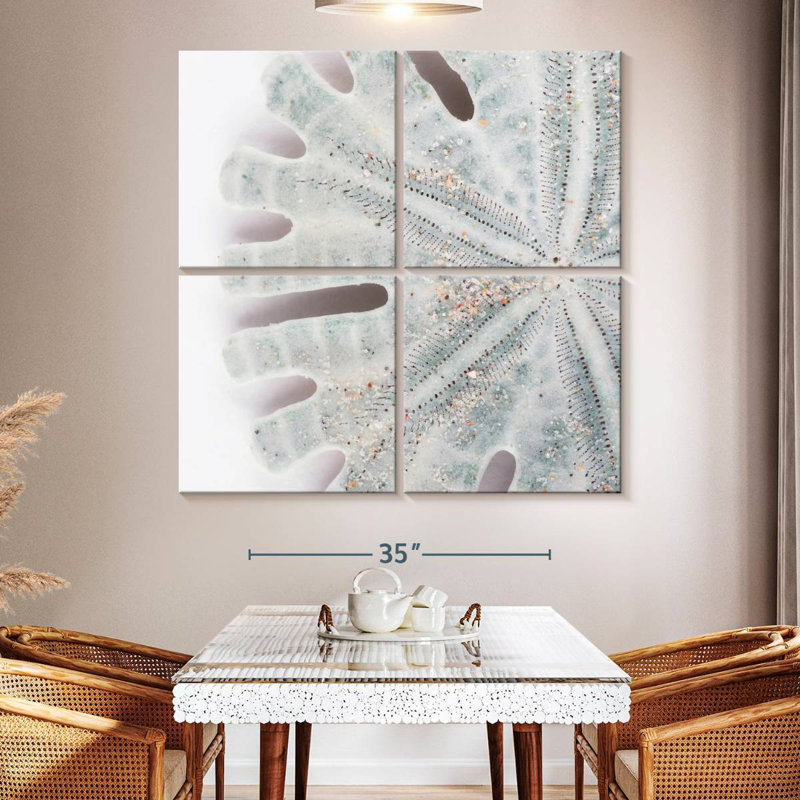 Brampt Florida Sand Dollar IV, 50" H x 50" W