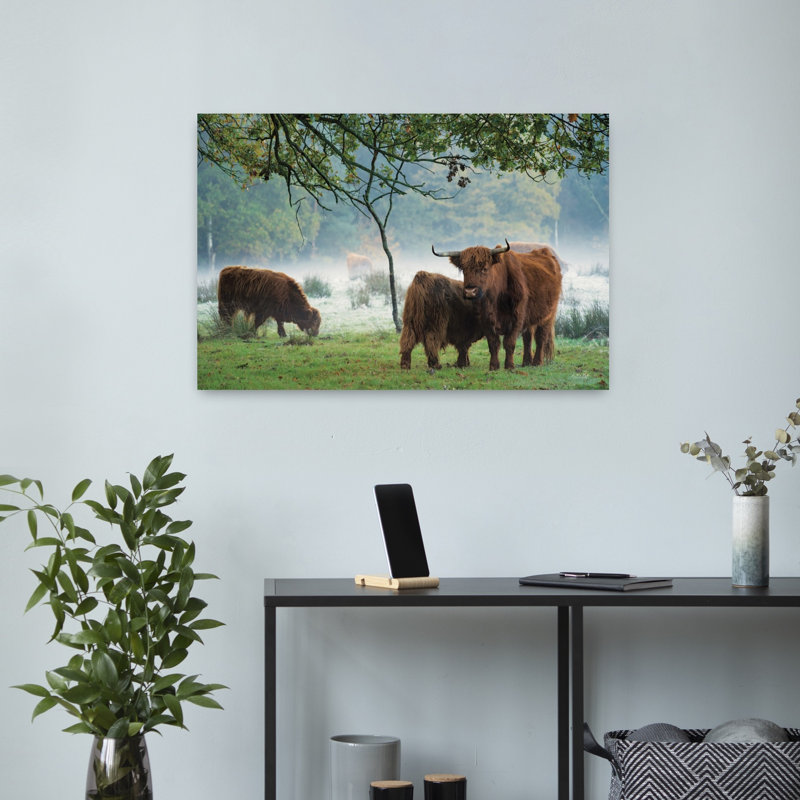 Print, 40.64cm H x 60.96cm W