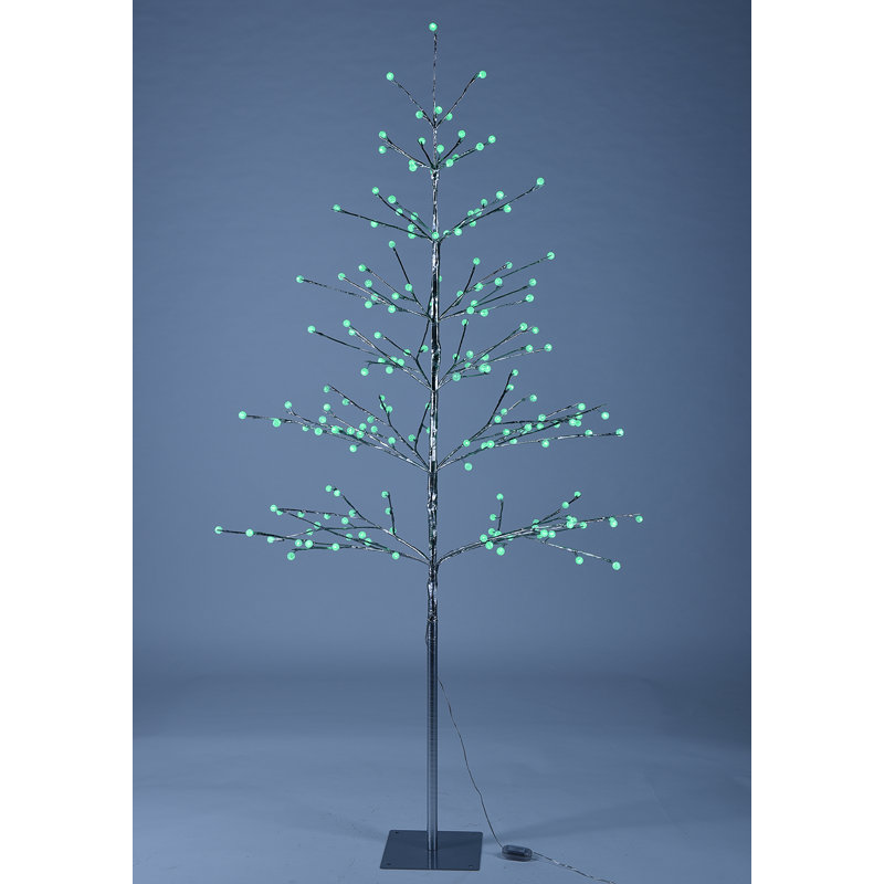 Holiday Lighting