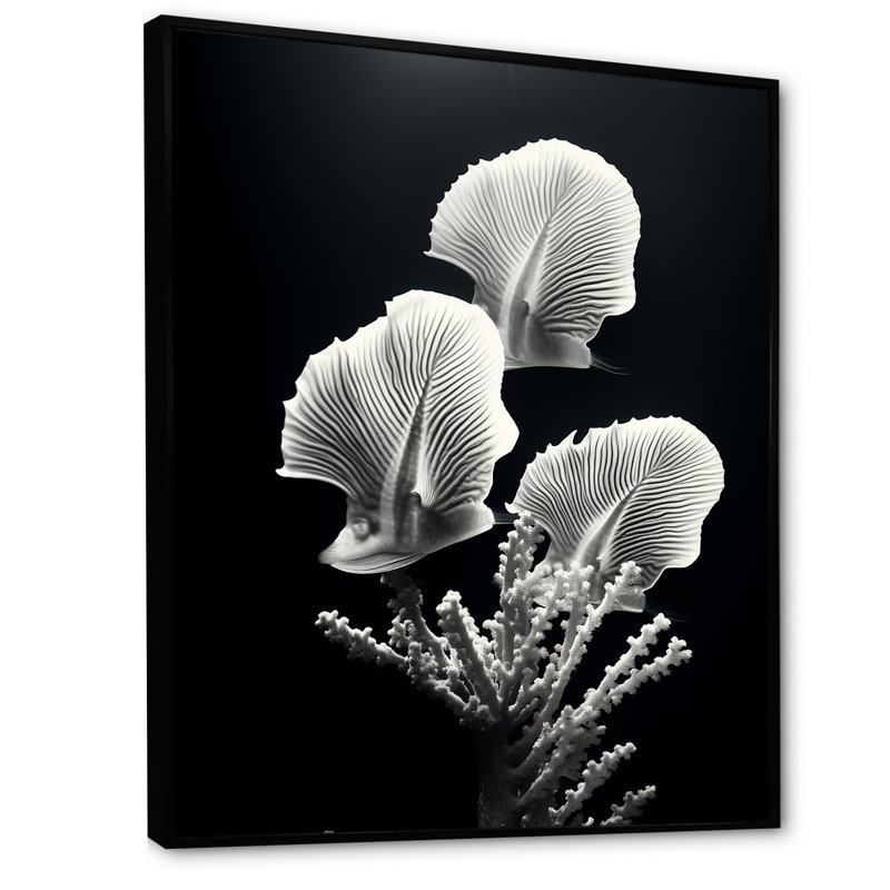 «Black and White Modern Coral Dream - Beach and Ocean, art mural sur toile, H 32 po x l 16 po x P 1 po, Cadre flottant noir