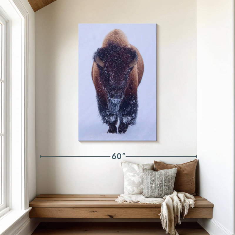 Brampt Bison In Snow, 45" H x 30" W