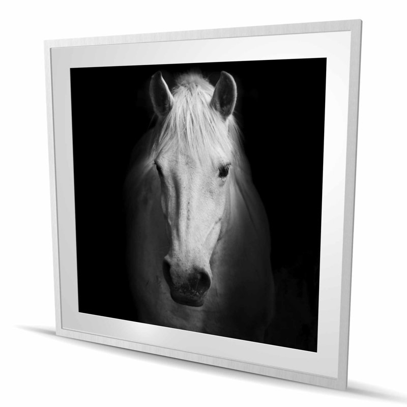 Cheval monochrome - reproduction encadrée pour la chambre à coucher