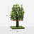 Henrietta 48'' H Cat Tree-1835871207