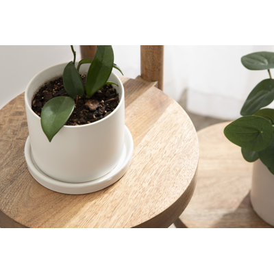 Lamarria Plant Stand