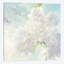 « poires, luminosité », reproduction sur toile-30919939