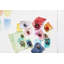 5 Piece Mini Bug Clip Set