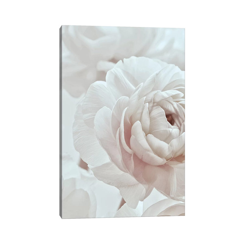 Blossom White I by Monika Strigel - Wrapped Canvas Print, 20.32 cm H x 30.48 cm W