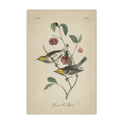 Art mural rétro sur toile "Warbler & Plants" par Wild Apple Portfolio