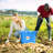 Little Giant Outdoor Polyethylene Muck Tub Multi Purpose Utility Bucket with Handles-94544693-94544694