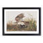 Winter Hawk by John James Audubon - Framed Print-55641854-55641859