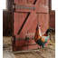 Statue de coq doré Amarilda Rosalind Wheeler