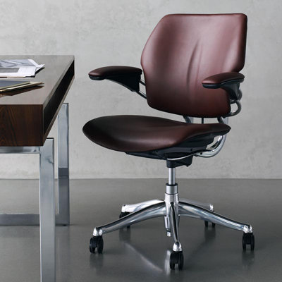 Freedom Ergonomic Task Chair - Guest