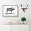 An Elk In Black And White by George Shaw - Single Picture Frame Print-55544842-55544841