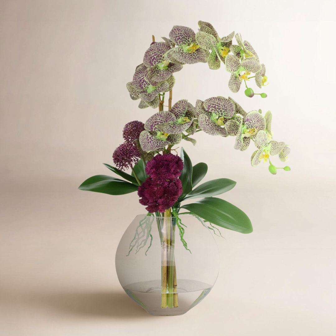 Lehn Orchid and Sedum Floral Arrangement in Vase Freeport Park®
